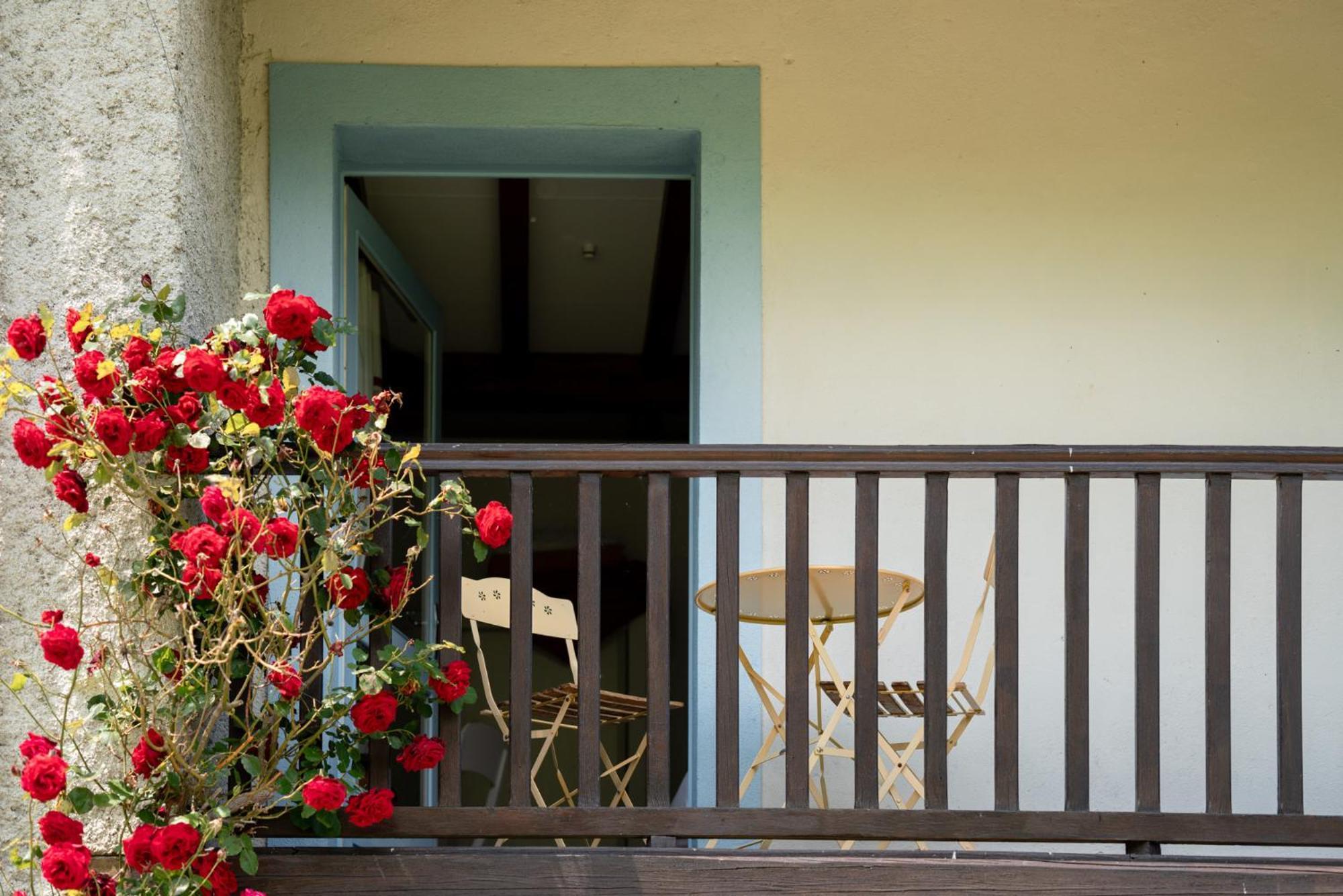 Domaine De Ramonjuan Hotel Bagnères-de-Bigorre Exterior foto